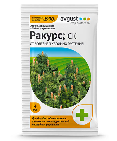 Ракурс