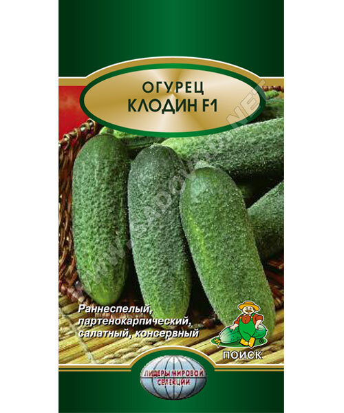 Огурец Клодин F1 семена 