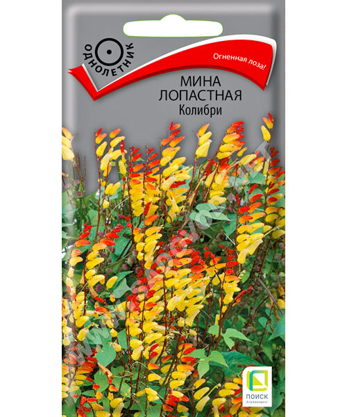 Мина лопастная колибри