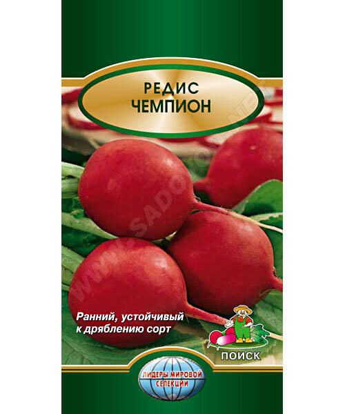 Редис Чемпион семена 