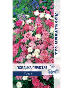 Гвоздика перистая Грёзы Гвоздика перистая Грёзы