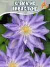 Клематис Тирислунд (крупноцветковый) Клематис Тирислунд (крупноцветковый)