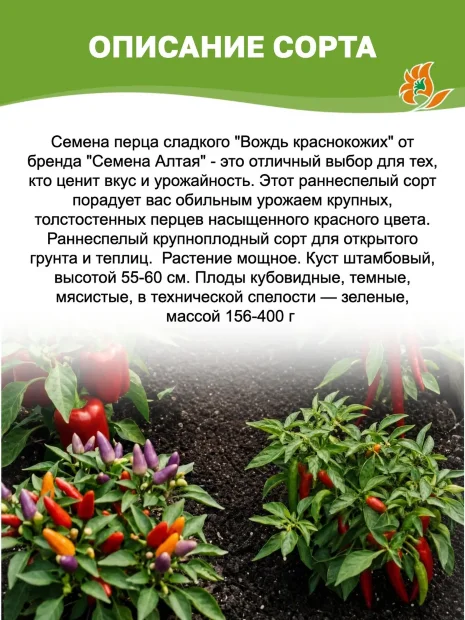 Перец сладкий Вождь краснокожих семена 