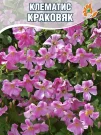 Клематис Краковяк (крупноцветковый) Клематис Краковяк (крупноцветковый)