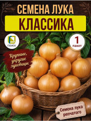 Лук репчатый Классика