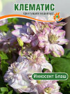 Клематис Инносент Блаш (крупноцветковый) Клематис Инносент Блаш (крупноцветковый)