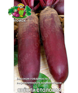 Свекла Цилиндра Свекла Цилиндра