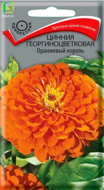 Цинния георгиноцветковая Оранжевый король семена
