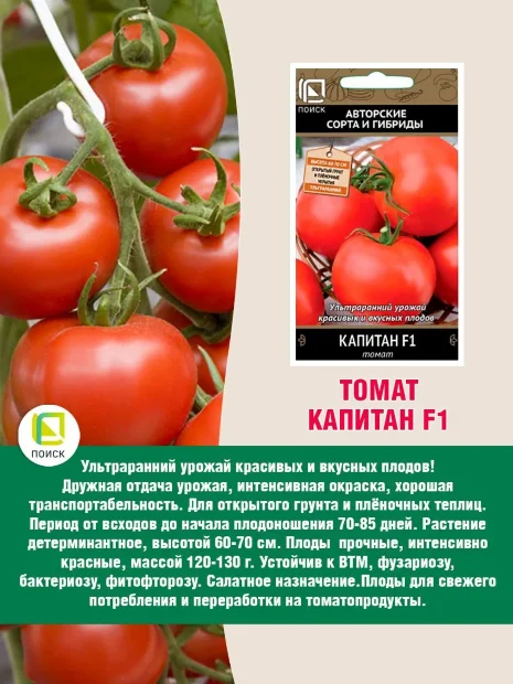 Томат Капитан F1 семена 