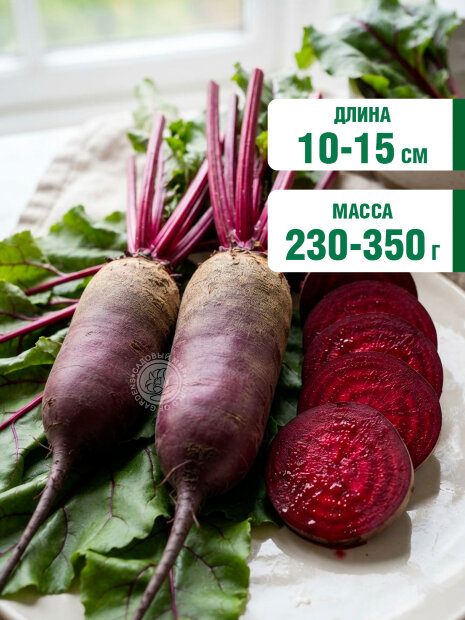 Свекла Славянка  семена 