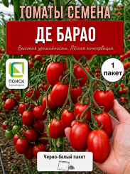 Томат Де Барао