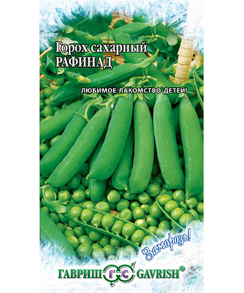 Горох Рафинад семена 