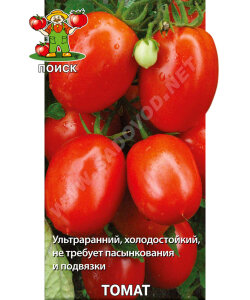 Томат Челнок Томат Челнок