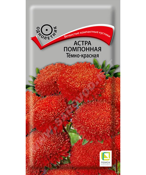Астра помпонная Тёмно-красная семена