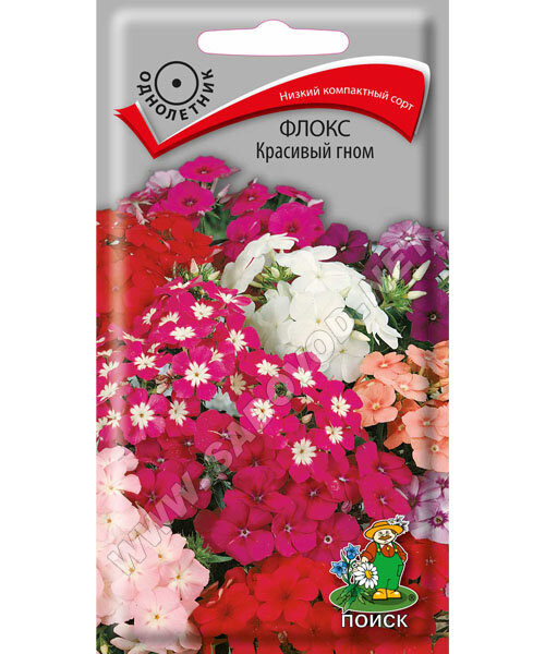 Флокс Красивый Гном семена