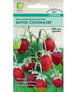 Земляника Барон Солемахер драже (ремонтантная) Земляника Барон Солемахер драже (ремонтантная)