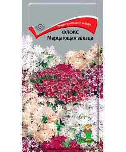 Флокс Мерцающая Звезда