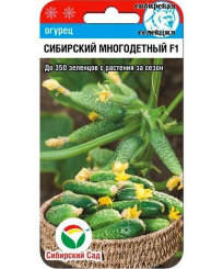 Огурец Сибирский Многодетный F1