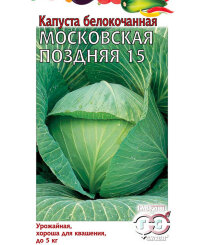 Капуста Московская поздняя 15 (белокочанная)