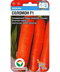 Морковь Соломон
