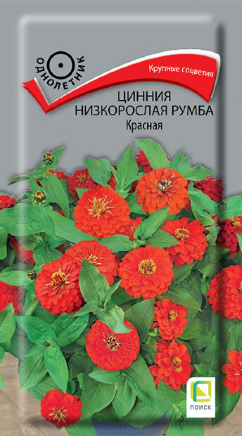 Цинния низкорослая Румба Красная семена