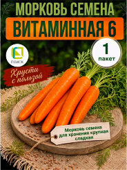 Морковь Витаминная 6 Морковь Витаминная 6