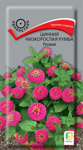 Цинния низкорослая Румба Розовая Цинния низкорослая Румба Розовая
