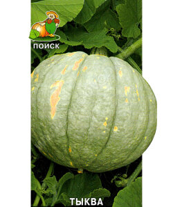 Тыква Зимняя сладкая Тыква Зимняя сладкая