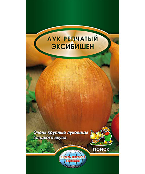 Лук репчатый Эксибишен семена 