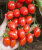 Томат Сладкий фонтан F1 семена 
