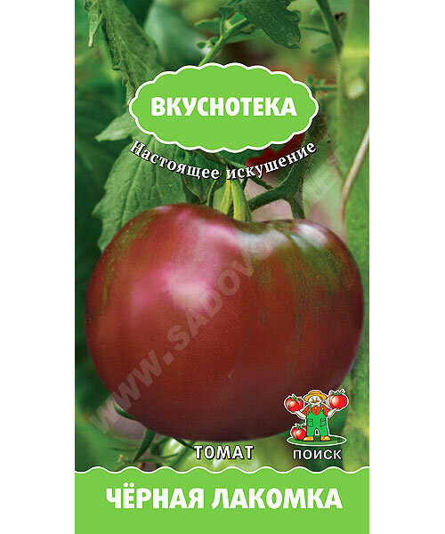 Томат Чёрная Лакомка семена 